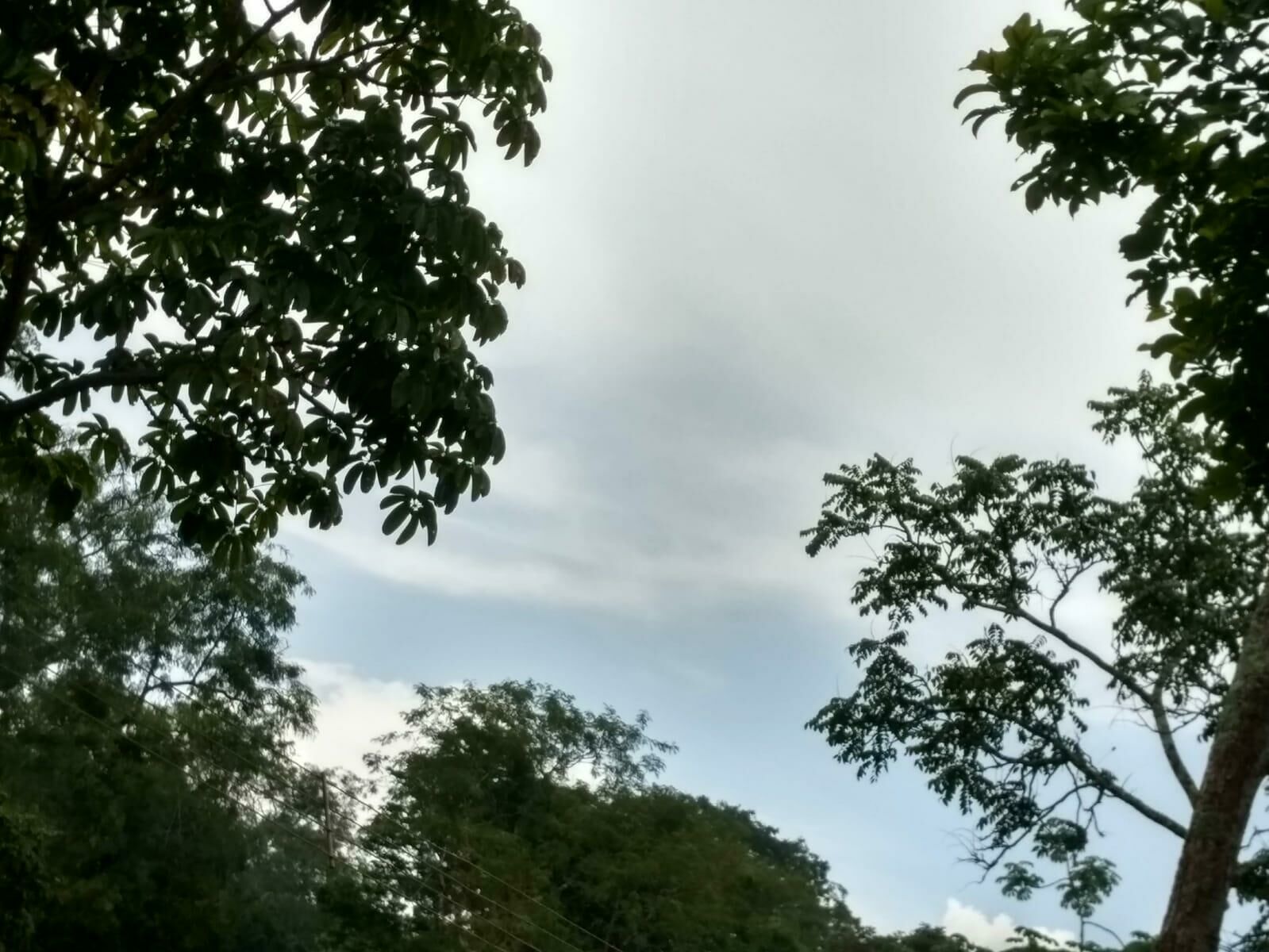 Imagem de compartilhamento para o artigo Terça-feira terá pancadas de chuva e calor intenso em Cassilândia da MS Todo dia